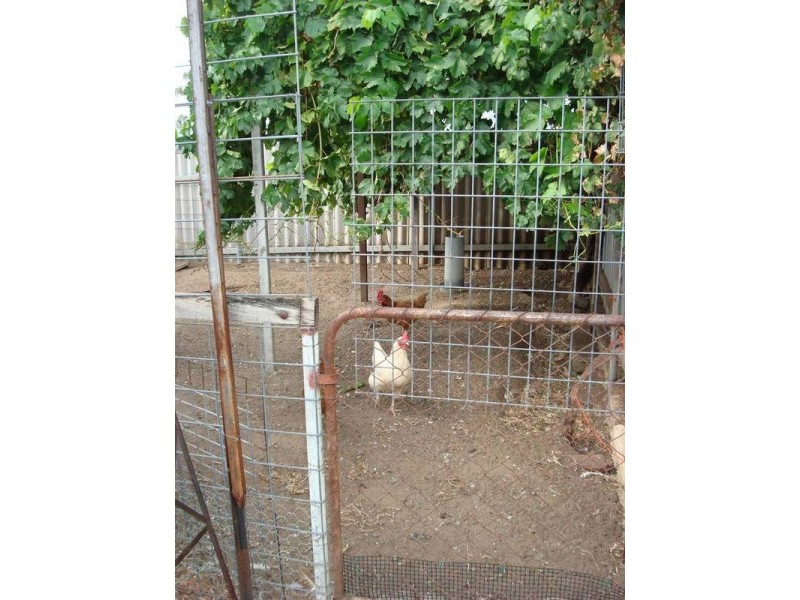 13 Perina Way, Northam WA 6401