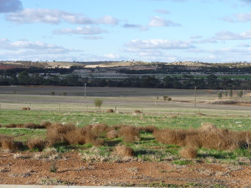 Lot 402, 10 Fairway Bend, Northam WA 6401
