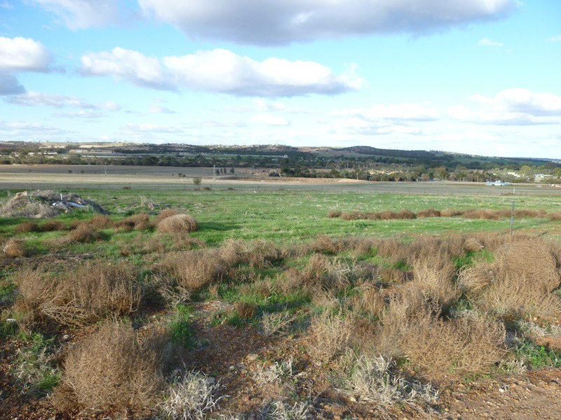 Lot 402, 10 Fairway Bend, Northam WA 6401