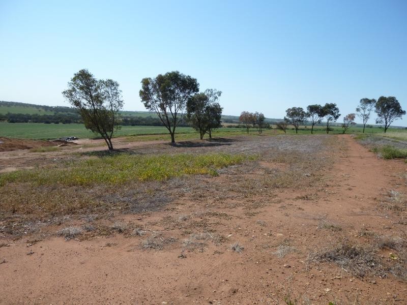 7 Marshall Place, Northam WA 6401