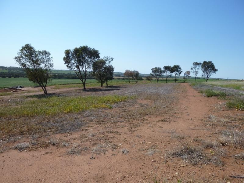 7 Marshall Place, Northam WA 6401