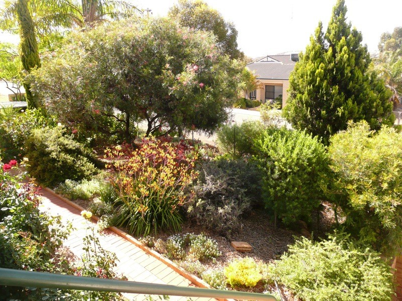 5 Hammond Place, Northam WA 6401