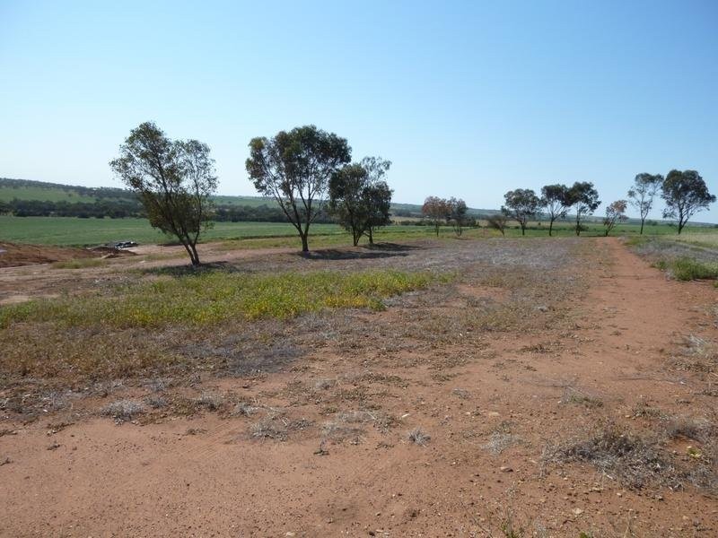 7 Marshall Place, Northam WA 6401