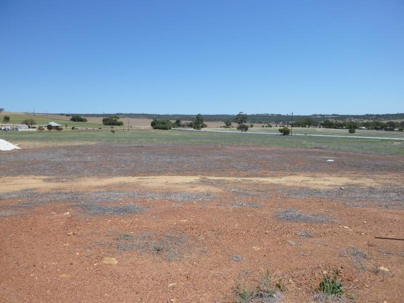 8 Jacamar Drive, Northam WA 6401