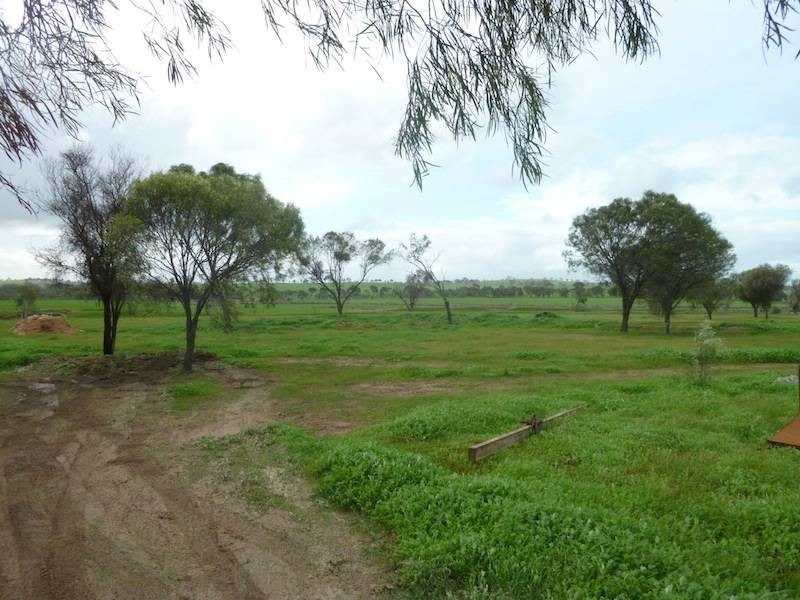 81 Tank Street, Northam WA 6401