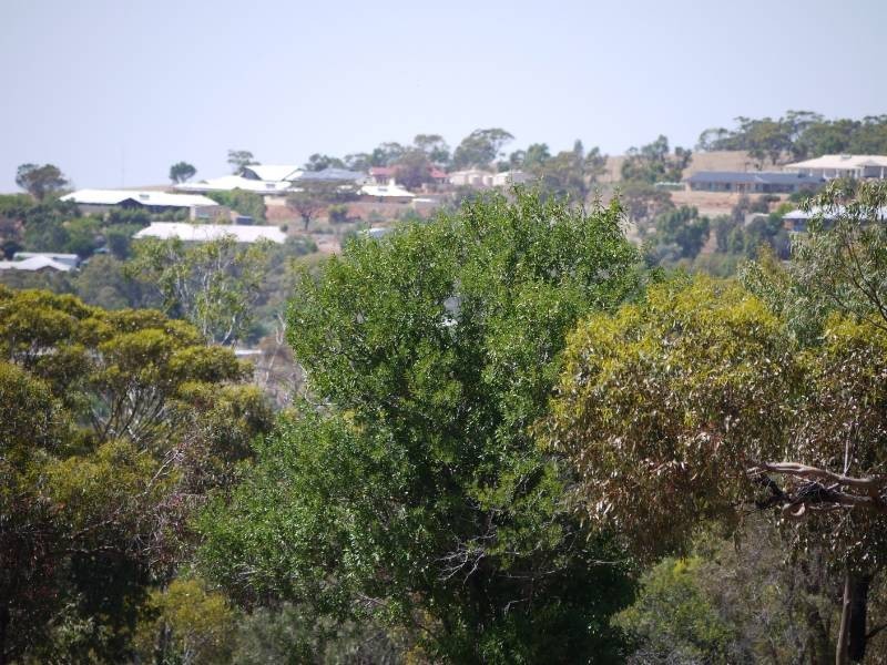 50 Wood Drive, Northam WA 6401