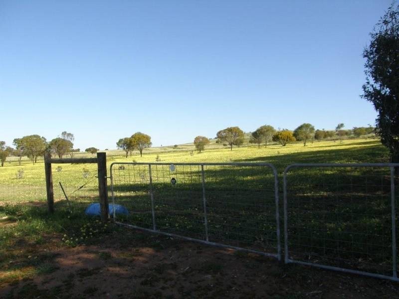 141 Newcastle Road, Northam WA 6401