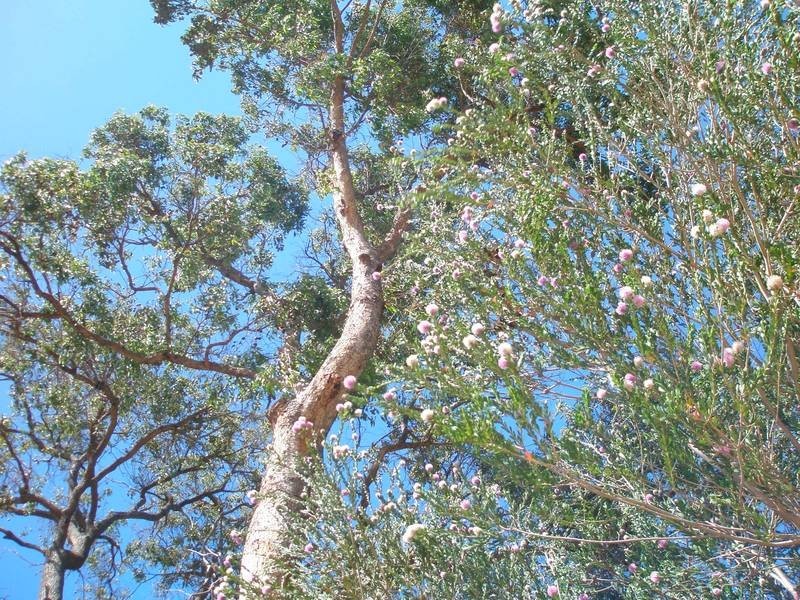 4652 Great Eastern Highway, Bakers Hill WA 6562