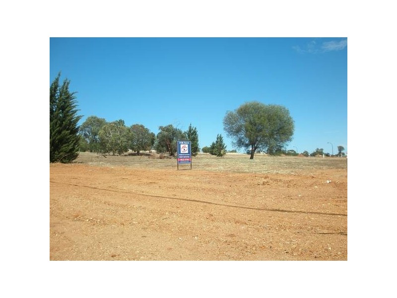 3 Roediger Drive, Northam WA 6401