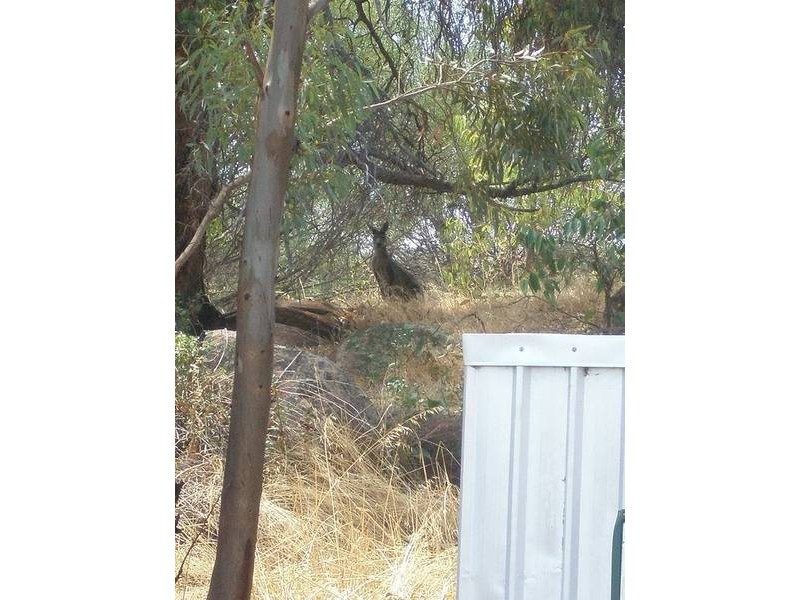 86 Avro Anson Road, Northam WA 6401