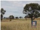 28 Loton Drive, Northam WA 6401