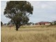 28 Loton Drive, Northam WA 6401