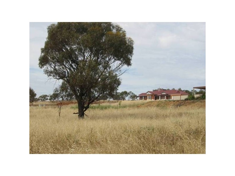 28 Loton Drive, Northam WA 6401