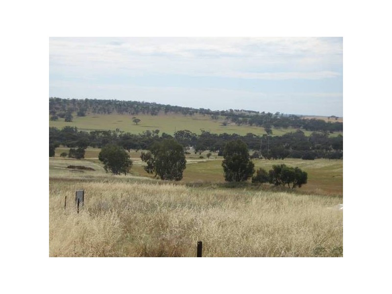 28 Loton Drive, Northam WA 6401