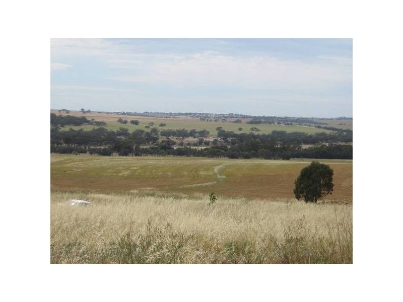 28 Loton Drive, Northam WA 6401