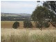 28 Loton Drive, Northam WA 6401