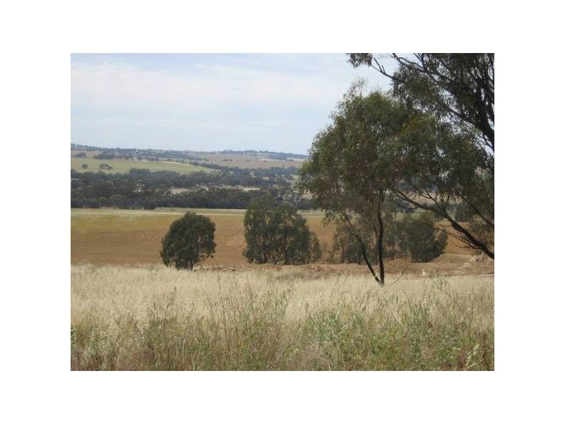 28 Loton Drive, Northam WA 6401