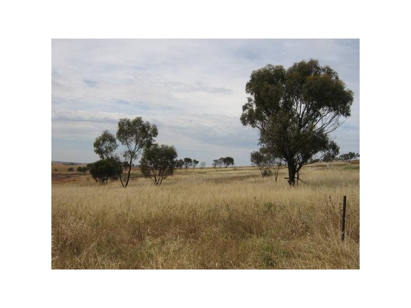 28 Loton Drive, Northam WA 6401