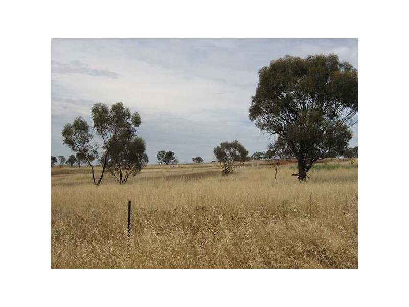 28 Loton Drive, Northam WA 6401