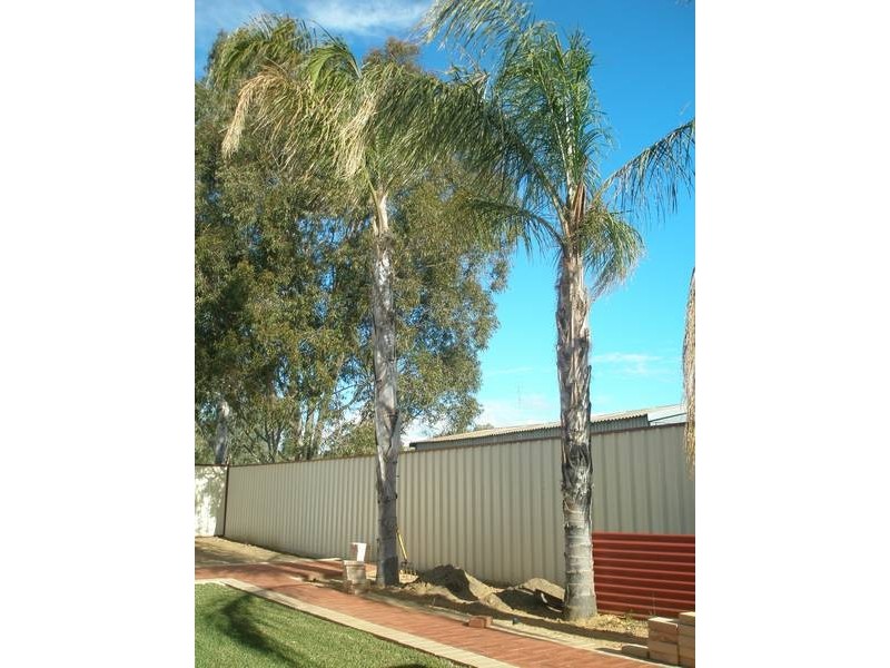 42 Byfield Street, Northam WA 6401