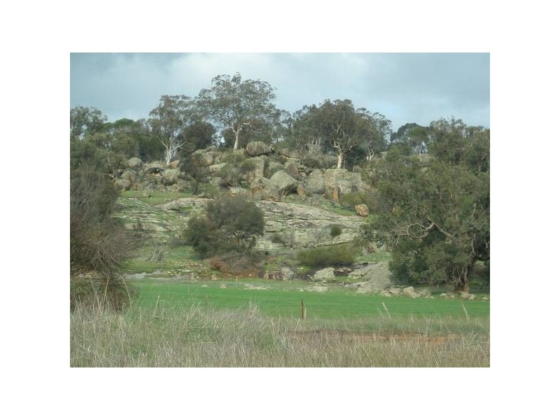 86 Leeder Road, Mokine WA 6401