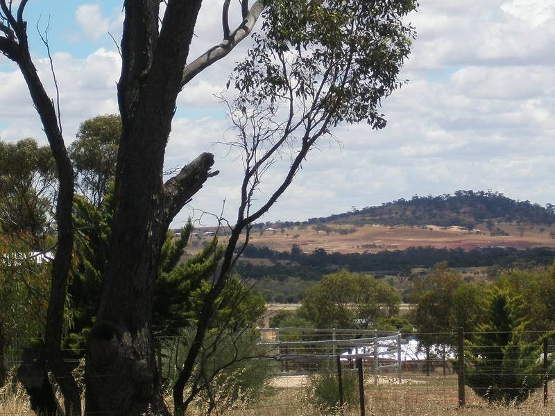 60 Goomalling Road, Northam WA 6401