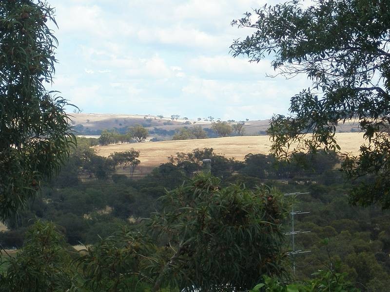 60 Goomalling Road, Northam WA 6401