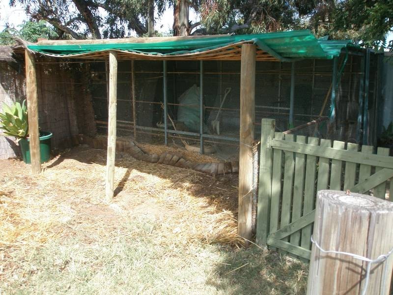 65 Charles Street, Northam WA 6401