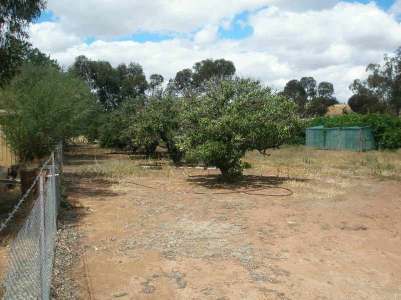 5 Burn Street, Northam WA 6401