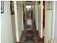 Mount Molloy QLD 4871