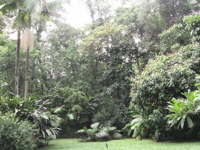 Forest Creek QLD 4873