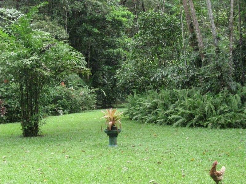 Forest Creek QLD 4873