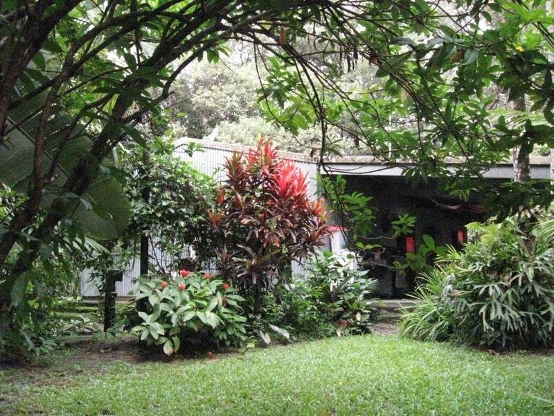 Forest Creek QLD 4873