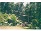 Cape Tribulation QLD 4873