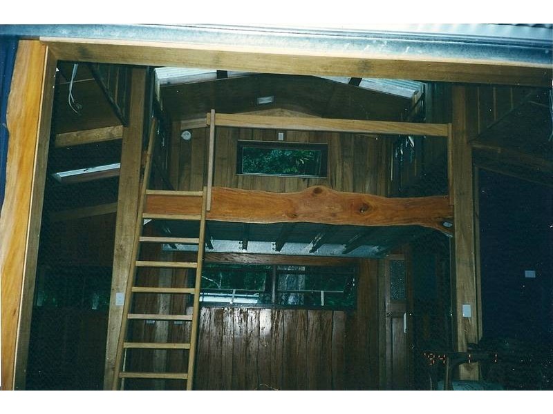 Cape Tribulation QLD 4873