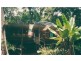 Cape Tribulation QLD 4873