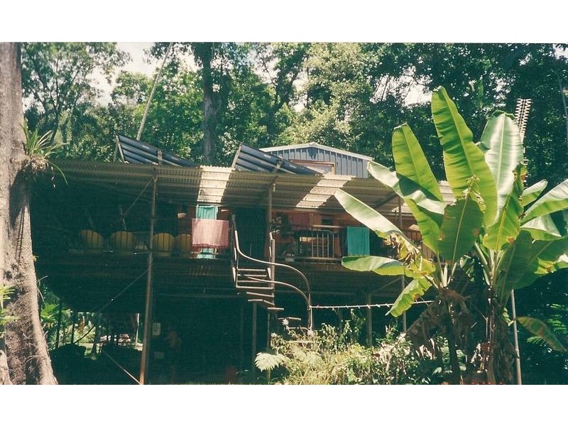 Cape Tribulation QLD 4873