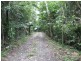 Cape Tribulation QLD 4873