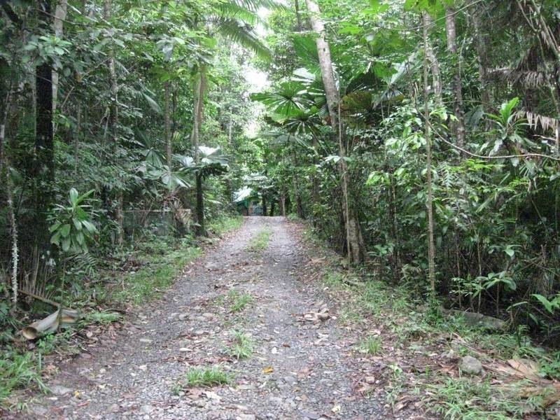 Cape Tribulation QLD 4873