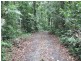 Cape Tribulation QLD 4873