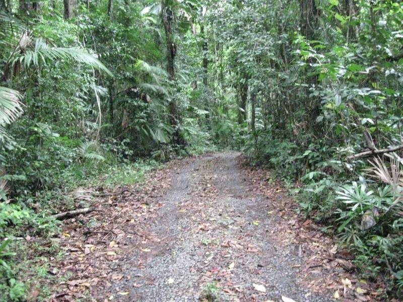 Cape Tribulation QLD 4873