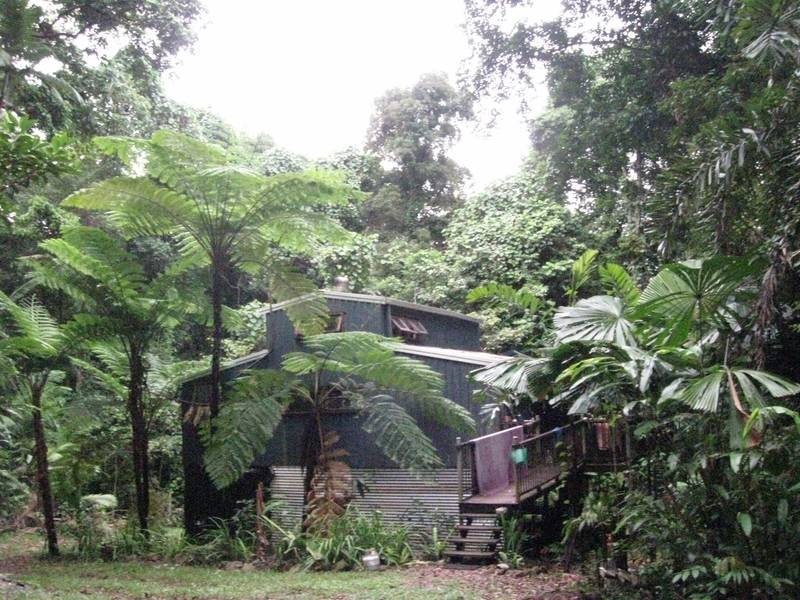 Cape Tribulation QLD 4873