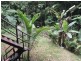 Cape Tribulation QLD 4873