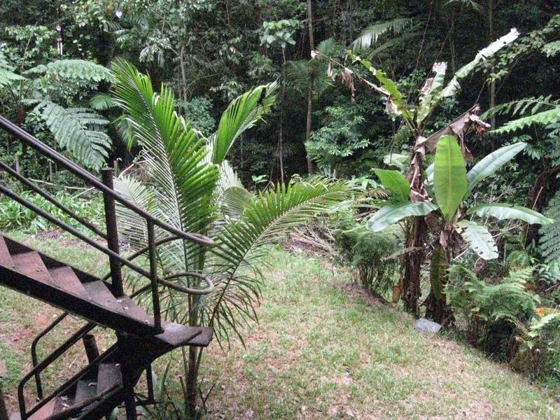 Cape Tribulation QLD 4873