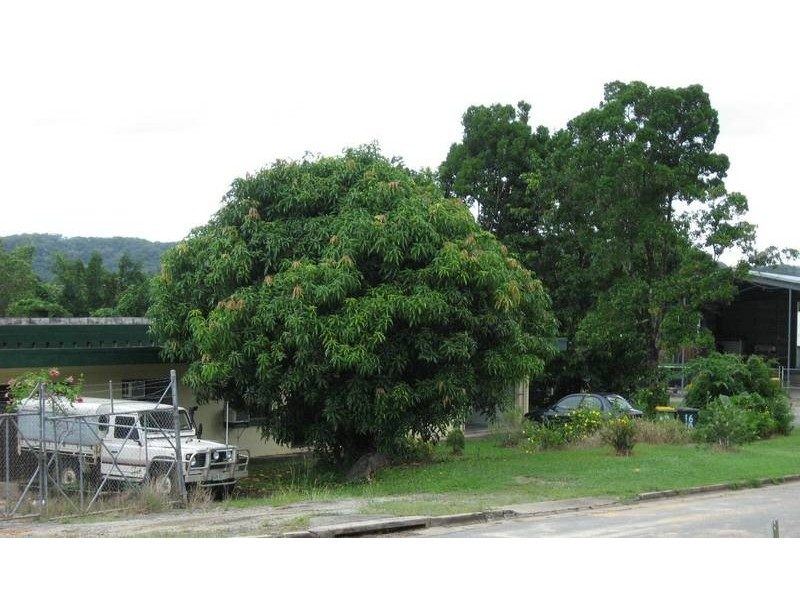 Mossman QLD 4873