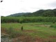 Cow Bay QLD 4873