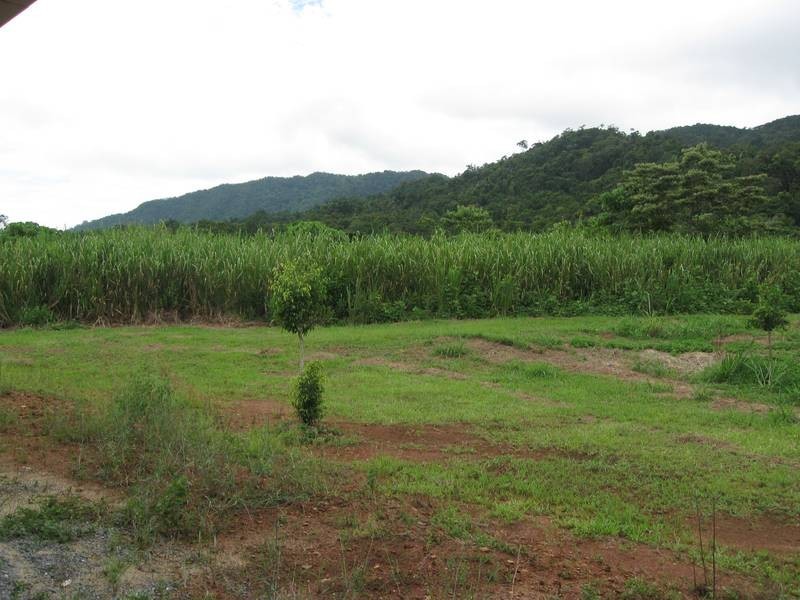 Cow Bay QLD 4873