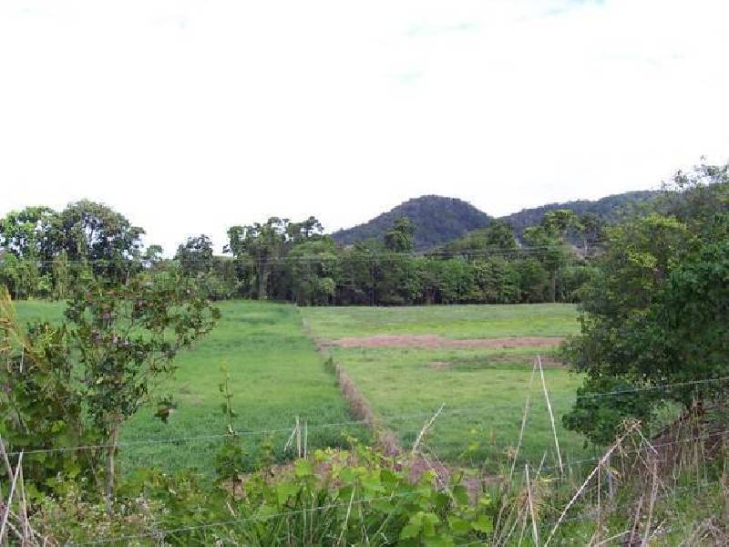 Forest Creek QLD 4873