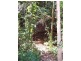Forest Creek QLD 4873