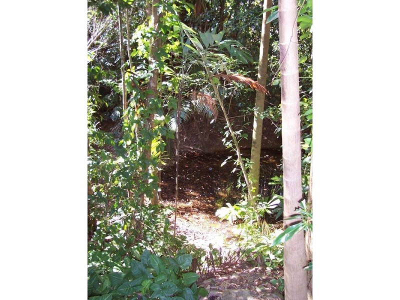 Forest Creek QLD 4873